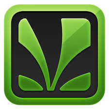 Saavn